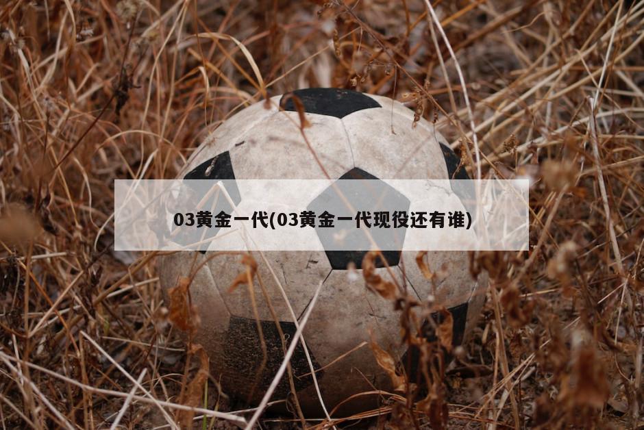 03黄金一代(03黄金一代现役还有谁)