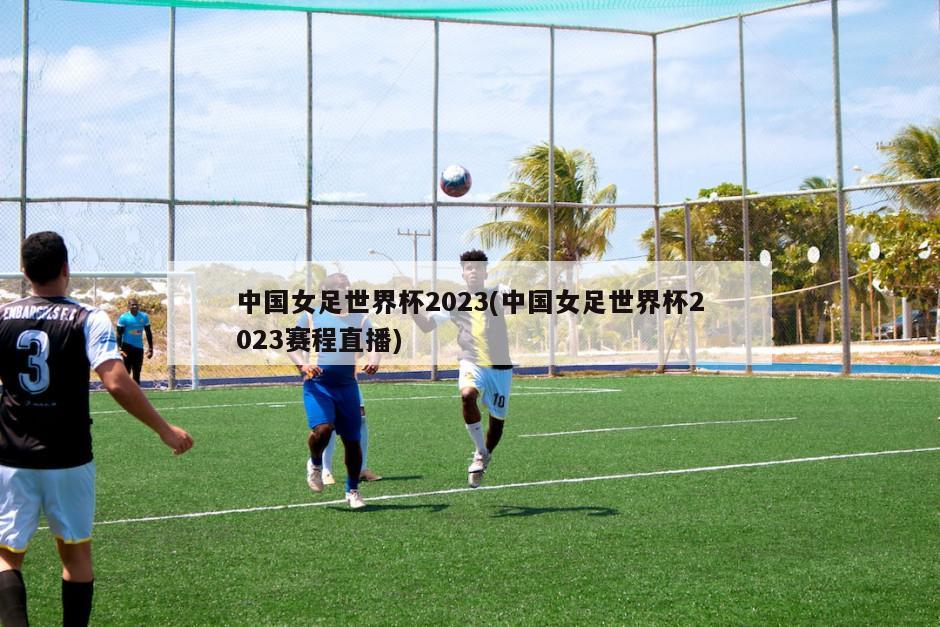 中国女足世界杯2023(中国女足世界杯2023赛程直播)