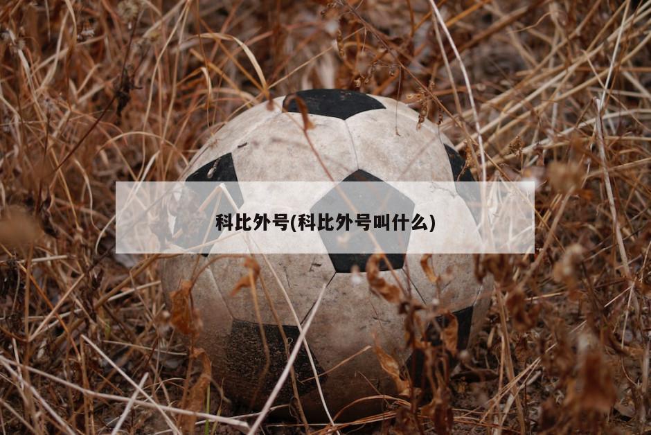 科比外号(科比外号叫什么)